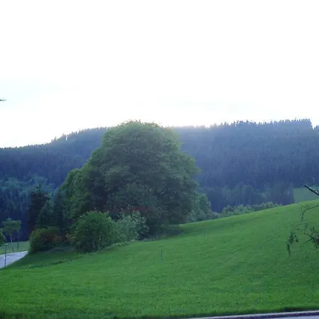 Apartamento Chez Lisa Familienurlaub Mit Pool, Sauna, Netflix Schluchsee