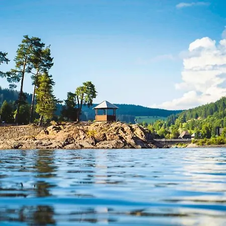 Chez Lisa Familienurlaub Mit Pool, Sauna, Netflix * Schluchsee